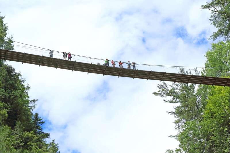 Canyon Sainte-Anne: Park Admission Ticket - Three bridges, forest paths, and cabled walkways