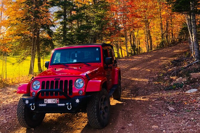 Cape Breton Jeep Adventure (4hr) - Three hours along the Margaree River and mountain tracks