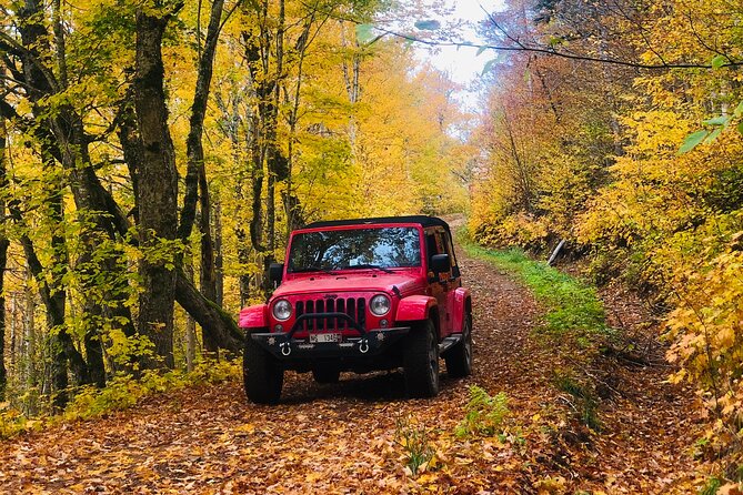 Cape Breton Scenic Jeep Adventure - Why this short Cape Breton Jeep tour works