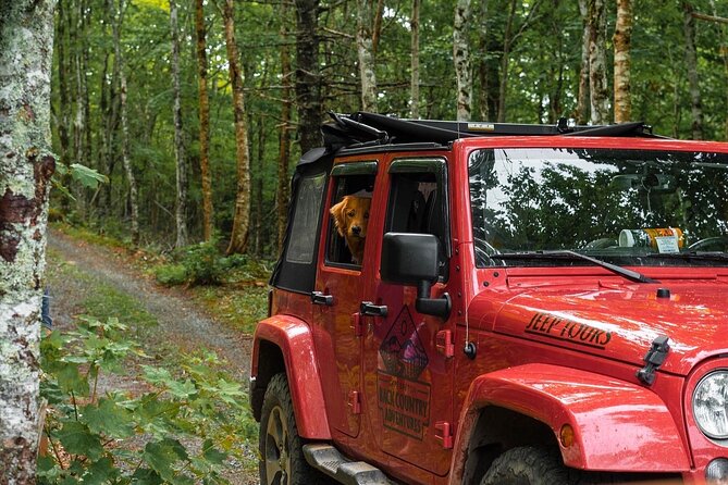 Cape Breton Scenic Jeep Adventure - One hour on Margaree Valley back roads