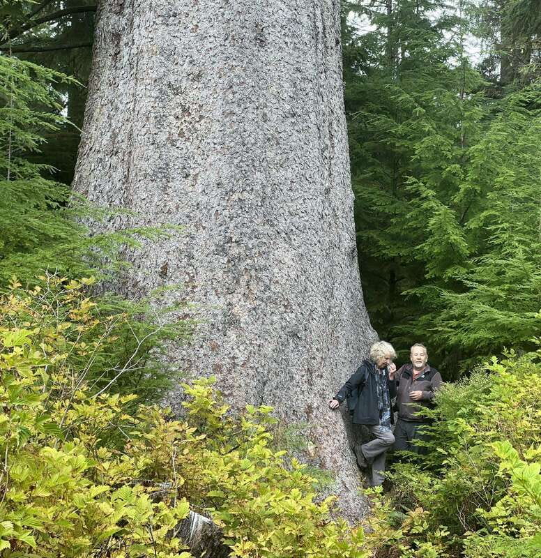 Cape Scott: San Josef Bay Day Hike with Scenic Drive - Key points to know before you book