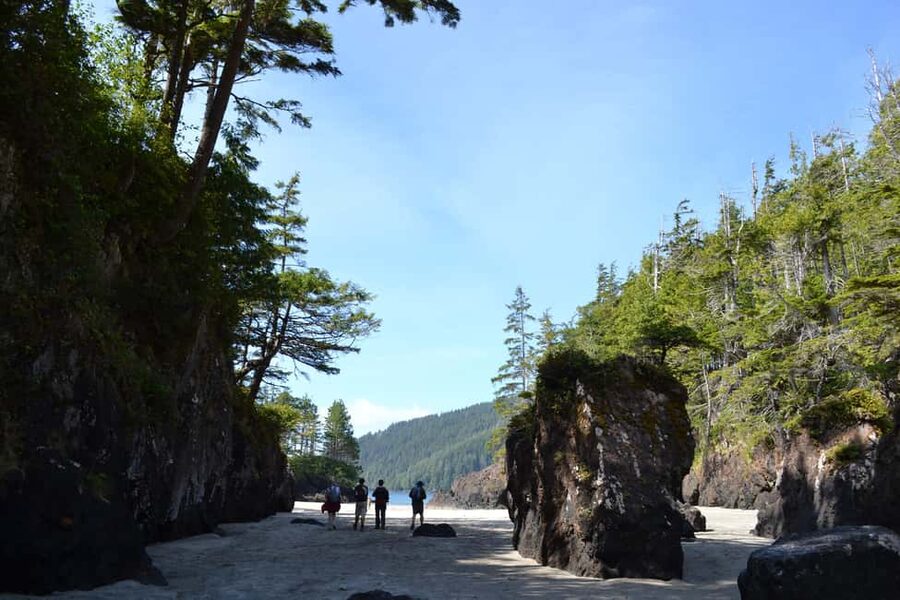 Cape Scott: San Josef Bay Day Hike with Scenic Drive - An easy walk through old-growth forest