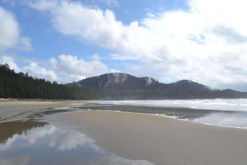 Cape Scott: San Josef Bay Day Hike with Scenic Drive - Rain, wildlife, and the practical tradeoffs