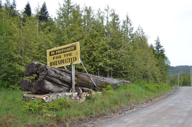 Cape Scott: San Josef Bay Day Hike with Scenic Drive - Booking details and what to bring