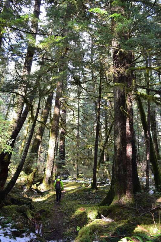 Cape Scott: San Josef Bay Day Hike with Scenic Drive - The road from Port Hardy to Holberg