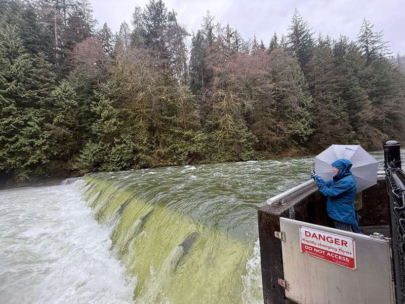 Capilano Br+Grouse Mtn+Dam+Lake&Hatcher/5in1/Small Group/Car - Grouse Mountain, from grizzlies to mountain views