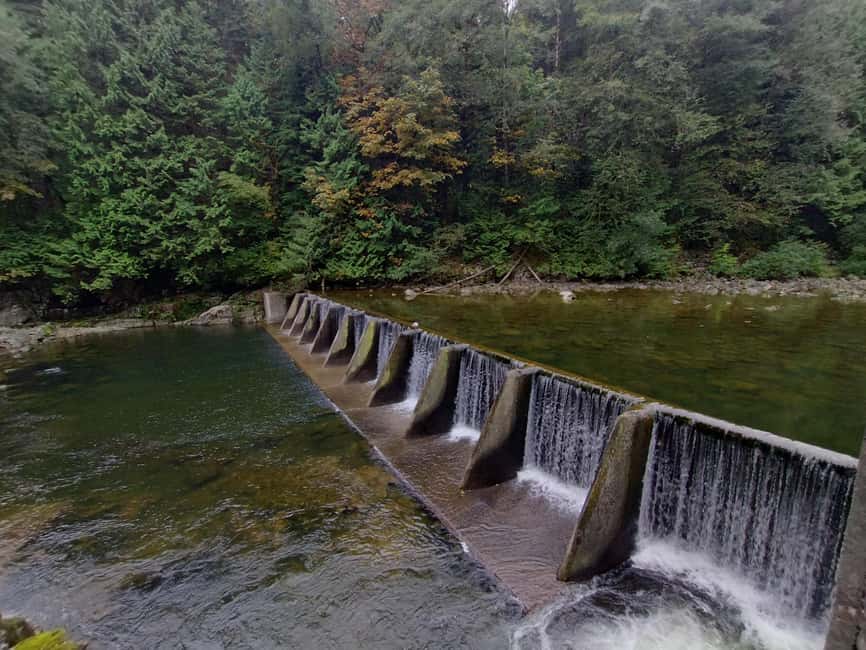 Capilano Suspension Br+Lake+Dam+Hachery/4in1/CAR/Small GROUP - Cliffwalk puts you against the granite cliff