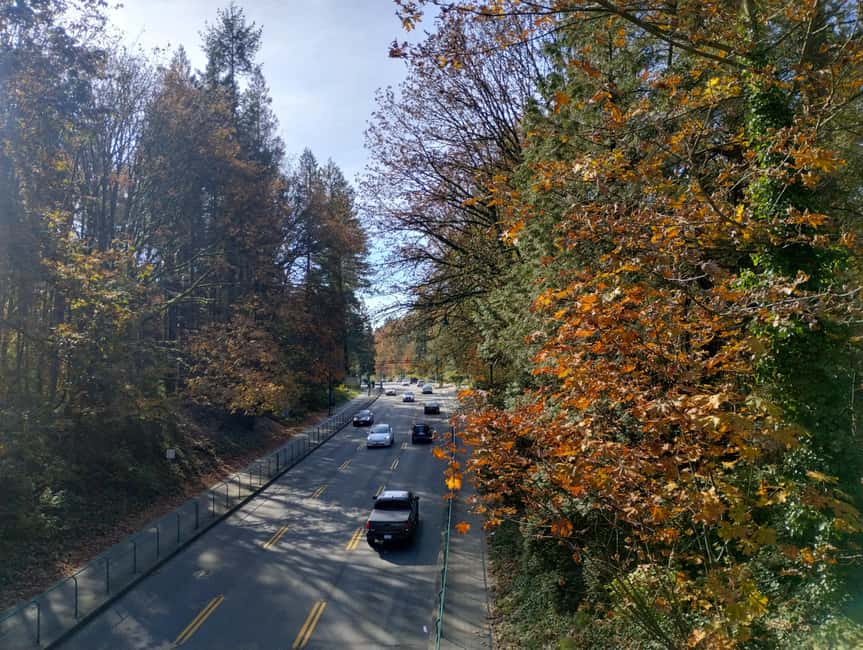 Capilano Suspension Br+Lake+Dam+Hachery/4in1/CAR/Small GROUP - Treetops Adventure rises into the rainforest