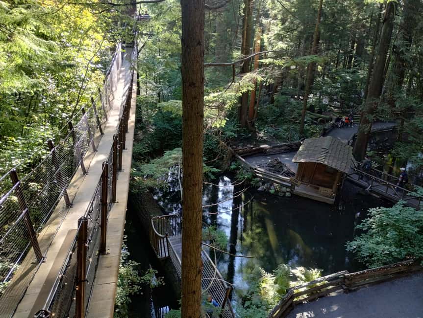 Capilano Suspension Br+Lake+Dam+Hachery/4in1/CAR/Small GROUP - The salmon hatchery adds a wildlife stop