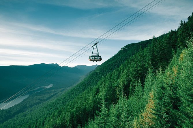 Capilano Suspension Bridge + Grouse Mountain Tour - Capilano Salmon Hatchery: a useful 40-minute stop