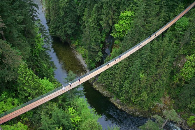 Capilano Suspension Bridge + Grouse Mountain Tour - Capilano Suspension Bridge Park: much more than one crossing