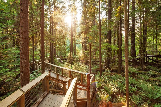Capilano Suspension Bridge Park Ticket - A realistic two to three-hour visit