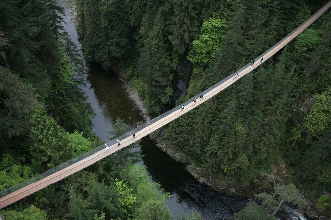 Capilano Suspension Bridge Park Ticket - Treetops Adventure among old-growth trees