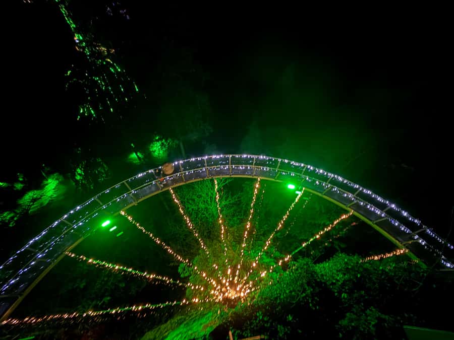 Capilano Suspension Bridge/Private/Small Group/By LUX CAR - Key points at a glance