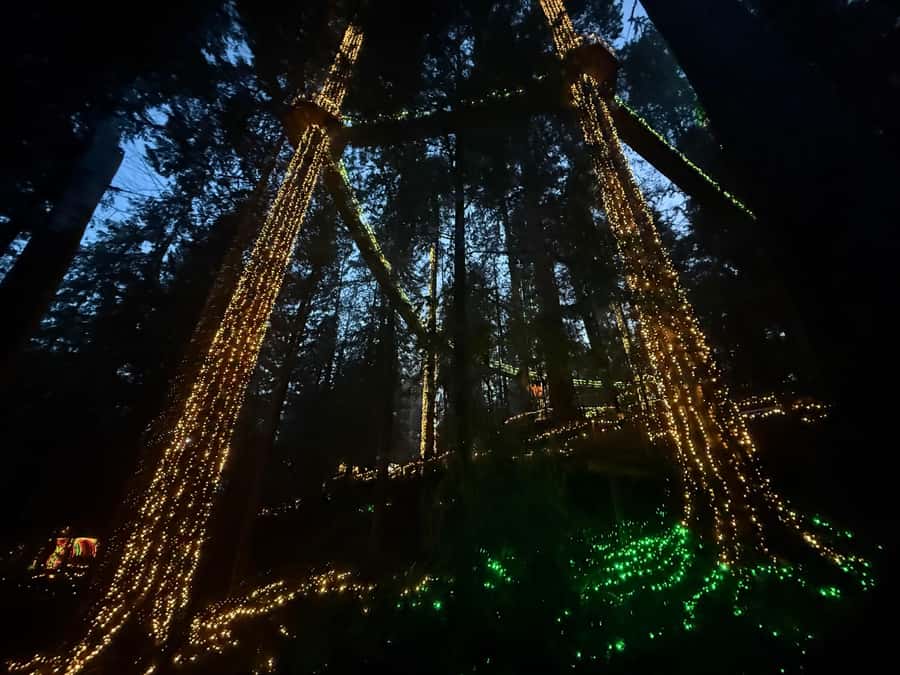 Capilano Suspension Bridge/Private/Small Group/By LUX CAR - Crossing the 137-meter Capilano Suspension Bridge