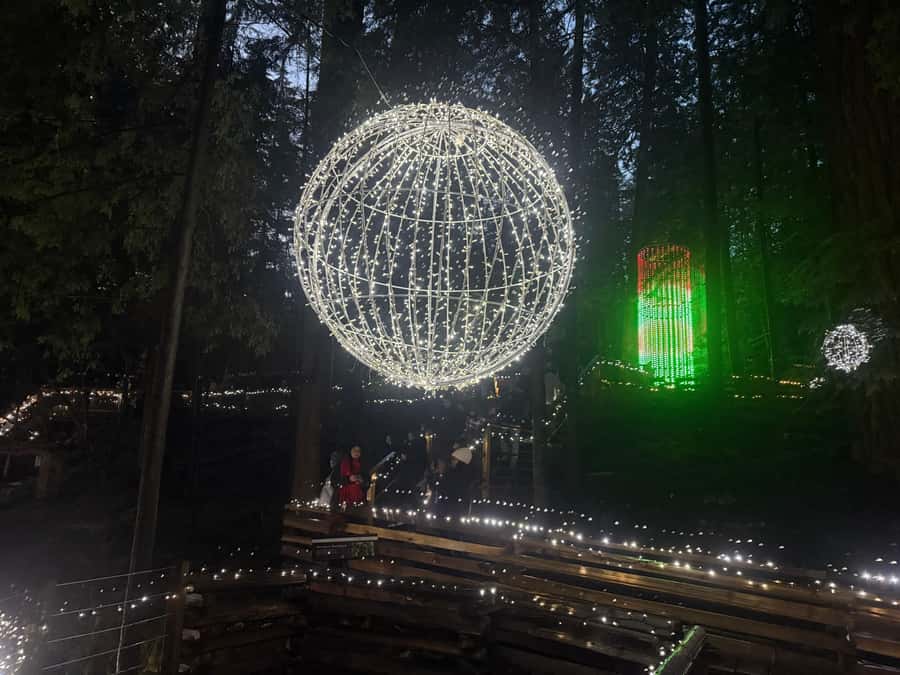 Capilano Suspension Bridge/Private/Small Group/By LUX CAR - Treetops Adventure, a quieter view of the forest