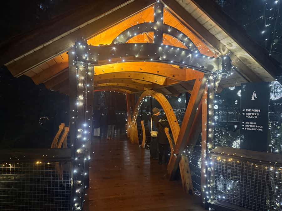 Capilano Suspension Bridge/Private/Small Group/By LUX CAR - Cliffwalk along the granite canyon