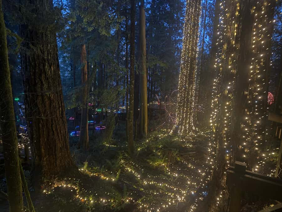Capilano Suspension Bridge/Private/Small Group/By LUX CAR - Kia’palano, Story Centre, and the Trading Post