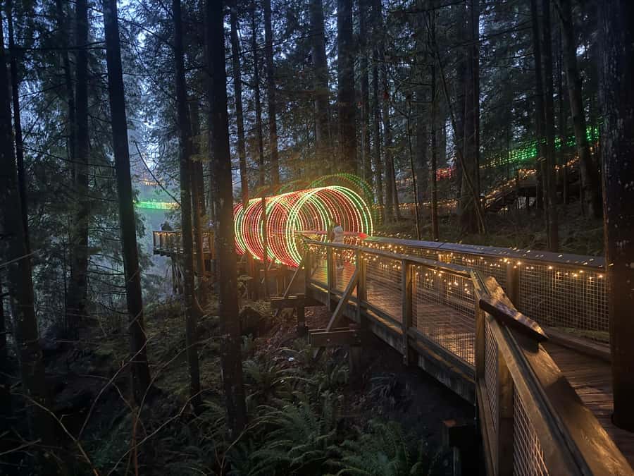 Capilano Suspension Bridge/Private/Small Group/By LUX CAR - Timing, comfort, and the real value of $136