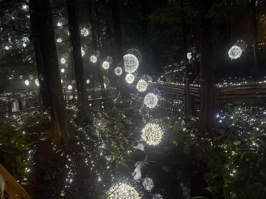 Capilano Suspension Bridge/Private/Small Group/By LUX CAR - Downtown pickup and the drive north
