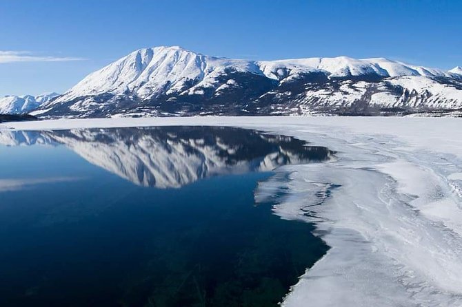 Caribou Crossing Adventure Tour - Walking the Carcross Desert for 40 minutes