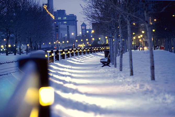 Christmas Walking Tour in Old Montreal - Price, group size, and overall value