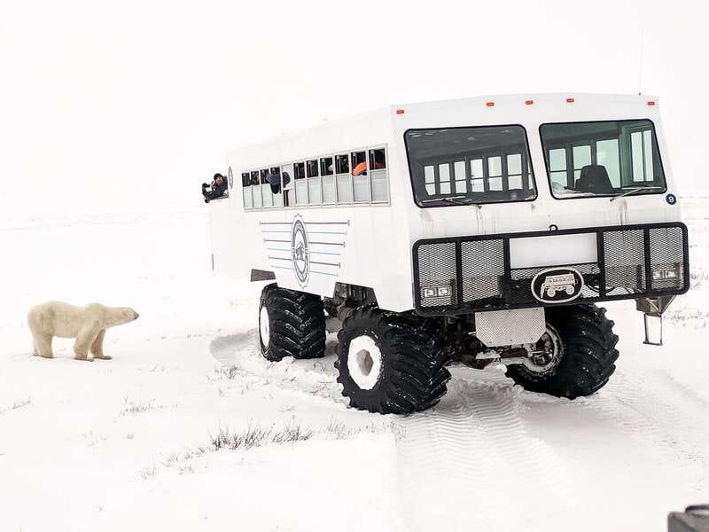 Churchill: Exclusive Tundra Buggy Day Trip - A safe ride into Churchill’s bear country