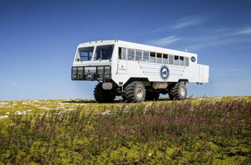 Churchill: Exclusive Tundra Buggy Day Trip - Who should book this Churchill outing?