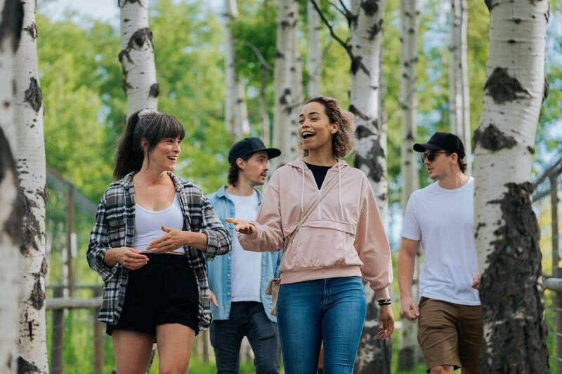 Cochrane: Yamnuska Wolfdog Sanctuary Tour - Why this sanctuary visit feels different from a zoo stop