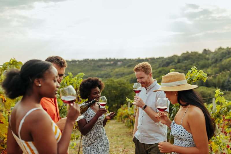 Collingwood: Blue Mountains Wine and Cider Tasting Tour - Georgian Hills combines wine, cider, and another charcuterie plate
