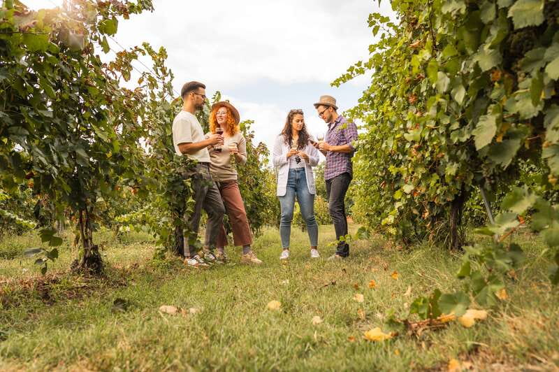 Collingwood: Blue Mountains Wine and Cider Tasting Tour - Booking flexibility and timing