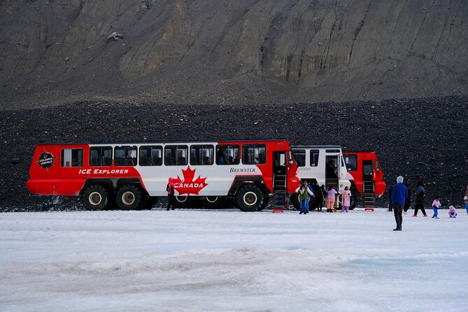 Columbia Icefield Adventure,Bow Lake,Peyto Lake in Banff & Jasper - Key points to know before you book