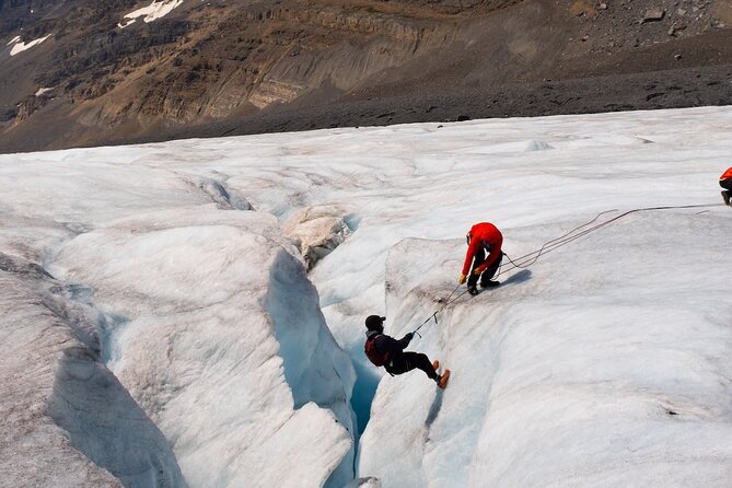 Columbia Icefield Adventure,Bow Lake,Peyto Lake in Banff & Jasper - The Columbia Icefield: choose your optional activity
