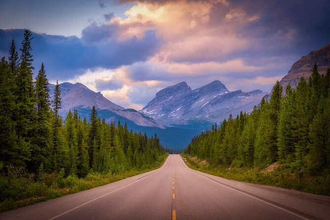 Columbia Icefield Adventure,Bow Lake,Peyto Lake in Banff & Jasper - Waterfowl Lakes and the quieter side of the route