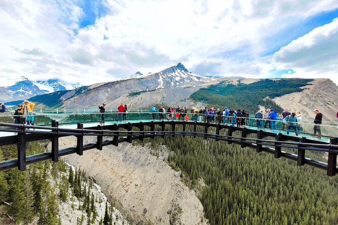 Columbia Icefield, Crowfoot Glacier and Bow ,Peyto Lake Tour - Key points to know before booking