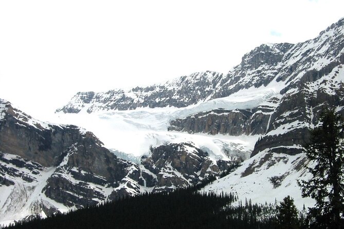Columbia Icefield Glacier Adventure Day Tour from Calgary/ Banff - Who should book this tour?