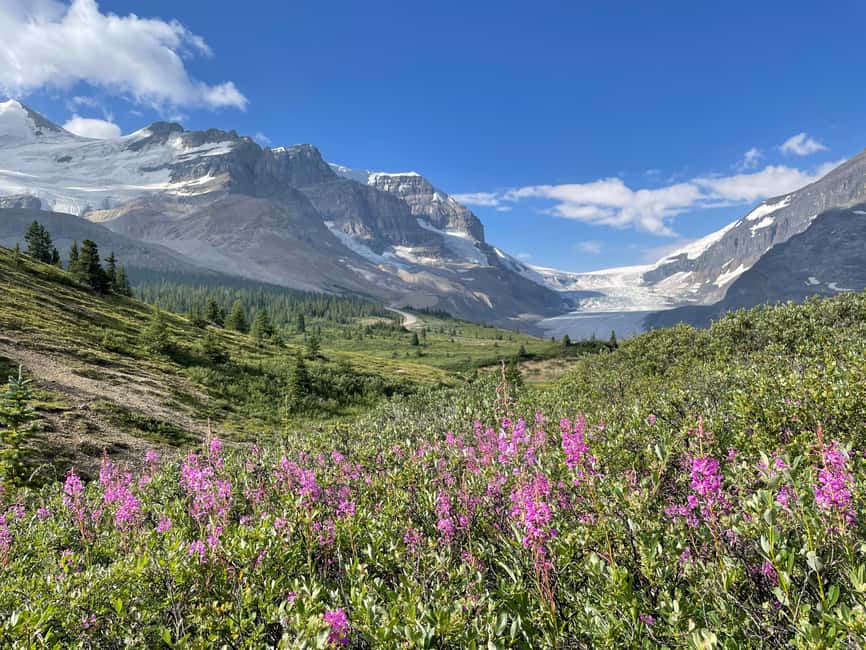 Columbia Icefield: Guided Glacier Hike - Key points at a glance