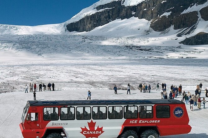 Columbia Icefield,Peyto Lake,Bow Lake Day Trip from Banff/Calgary - Key points to know before booking