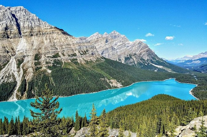 Columbia Icefield,Peyto Lake,Bow Lake Day Trip from Banff/Calgary - Peyto Lake and the Bow Summit viewpoint