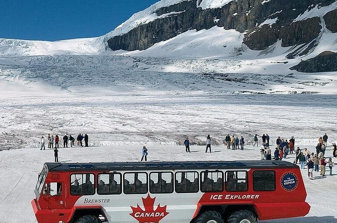 Columbia Icefield,Peyto Lake,Bow Lake Day Trip from Banff/Calgary - Lunch at The Crossing, with 45 minutes to spend