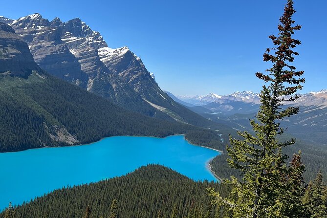 Columbia Icefield Peyto Lake Bow Lake from Calgary Canmore Banff - What lunch and the break are really like