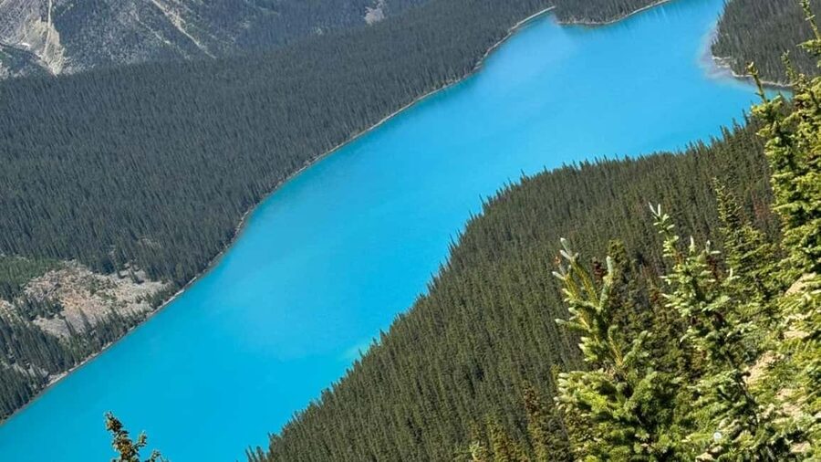 Columbia Icefield, Skywalk, Crowfoot Glacier, and Lakes Tour - Crowfoot Glacier shows a changing mountain