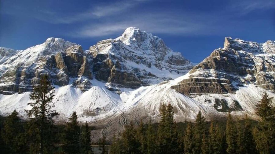 Columbia Icefield, Skywalk, Crowfoot Glacier, and Lakes Tour - Peyto Lake delivers the postcard view