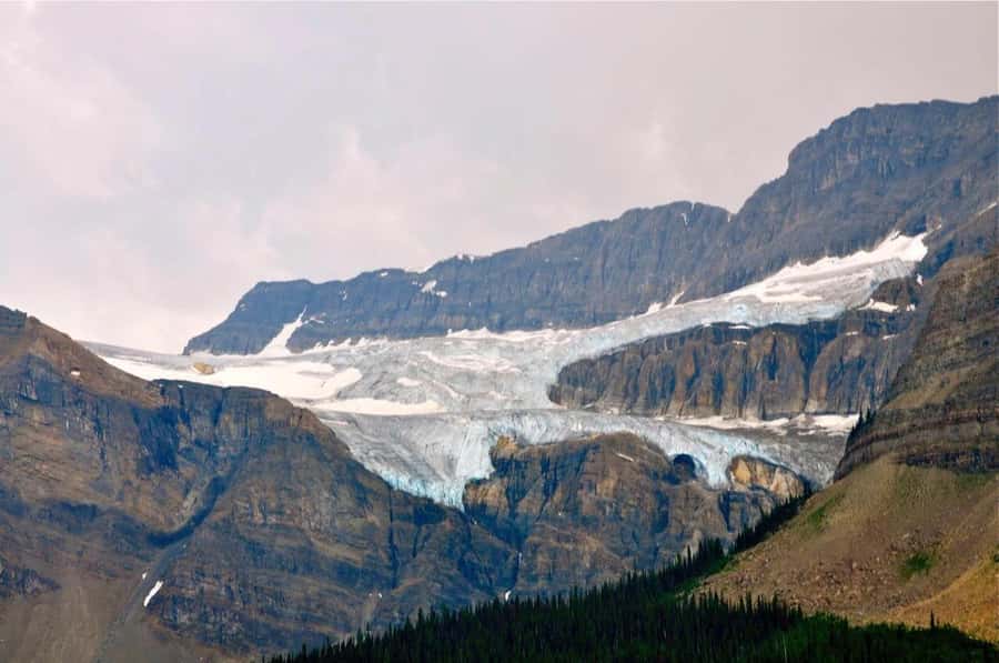 Columbia icefield, Skywalk, Waterfowl, Bow & Peyto Lake Tour - Should you book it?