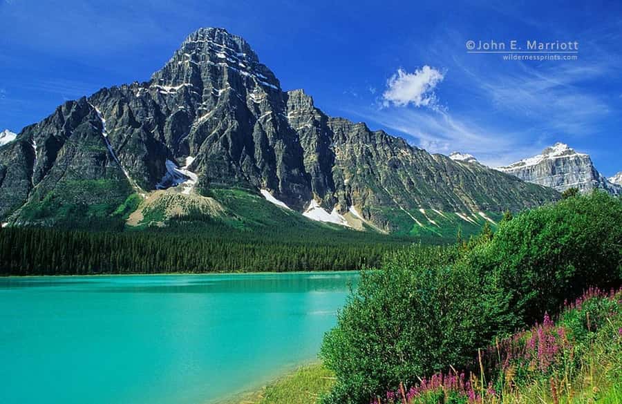 Columbia icefield, Skywalk, Waterfowl, Bow & Peyto Lake Tour - One long day along the Icefields Parkway