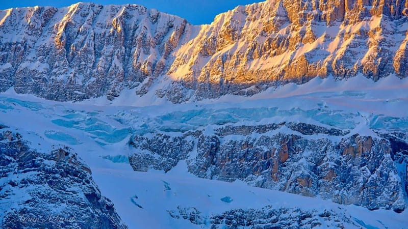 Columbia icefield, Skywalk, Waterfowl, Bow & Peyto Lake Tour - Peyto Lake is the main photographic prize