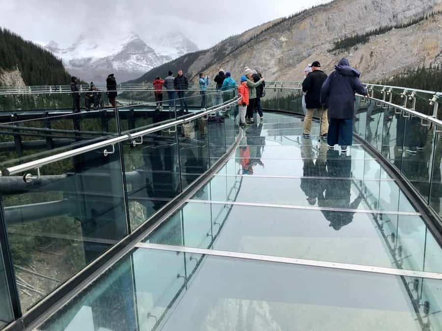 Columbia icefield, Skywalk, Waterfowl, Bow & Peyto Lake Tour - Booking details worth handling early