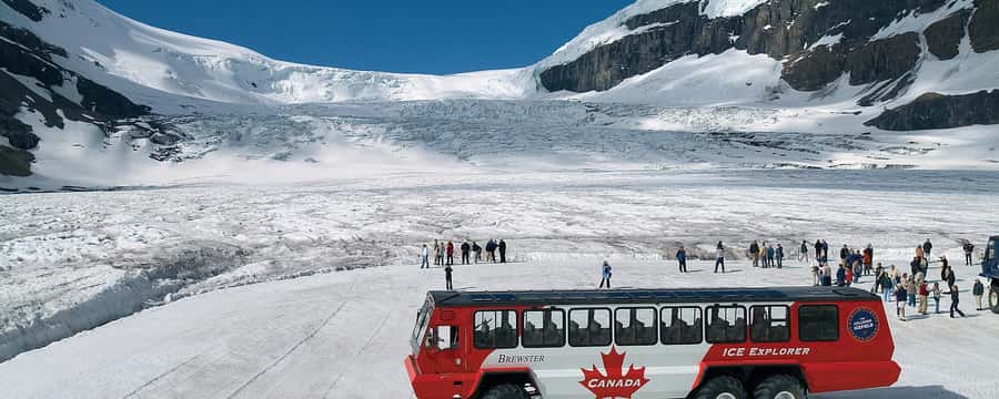 Columbia icefield, Skywalk, Waterfowl, Bow & Peyto Lake Tour - Bow Lake and Waterfowl Lake set the pace