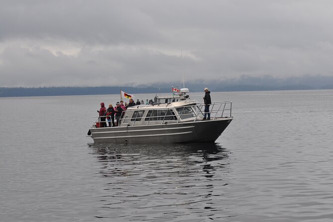 Covered Boat Whale Watching 4-Hour Tour from Campbell River - What the $265.98 Price Buys You