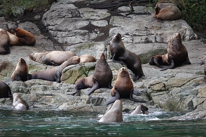 Covered Boat Whale Watching 4-Hour Tour from Campbell River - Passing Cape Mudge Lighthouse on Quadra Island